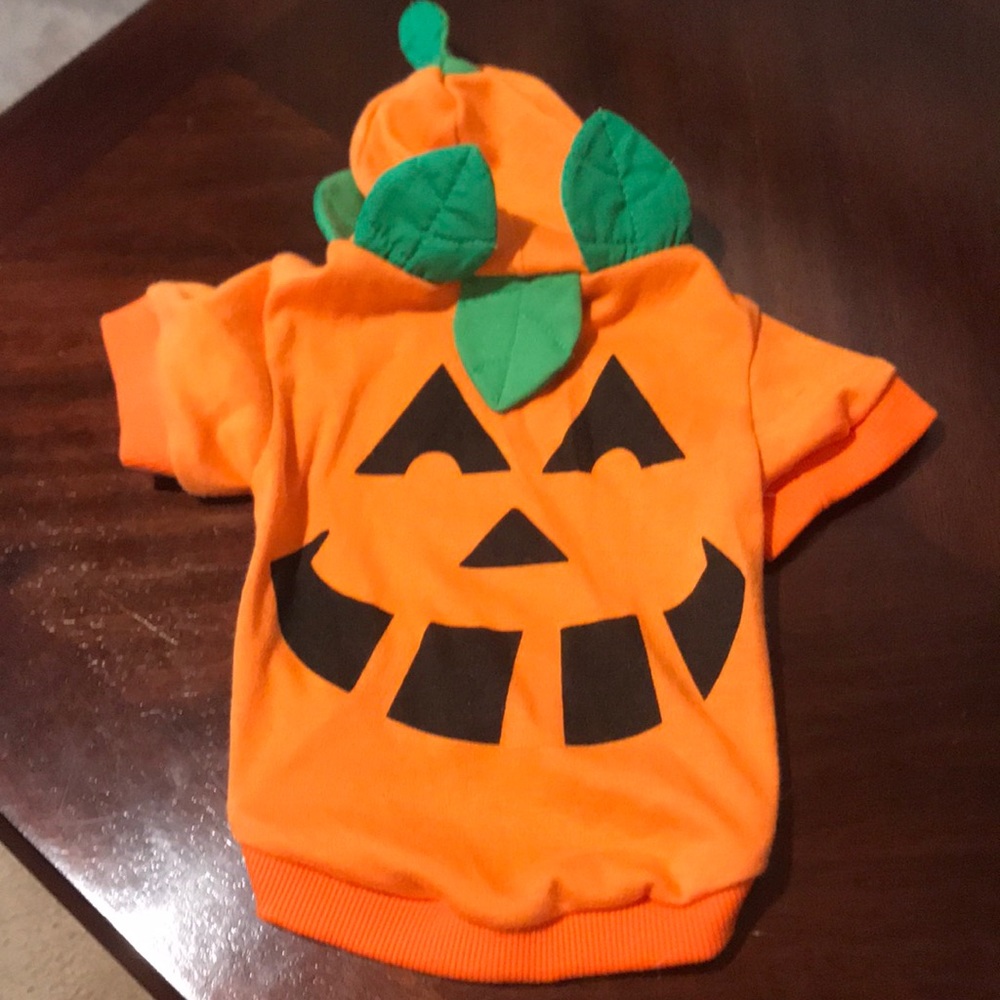 🐶🎃 Dog Apparel